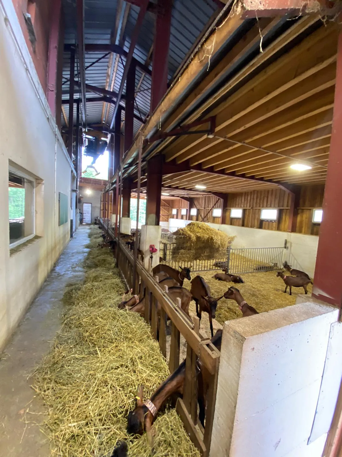 Étable vue intérieure